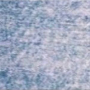 Meet your Posher, Hewan